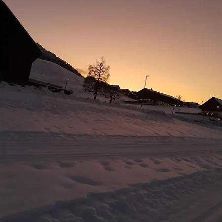 Апартаменты Bergnest Grosswalsertal *