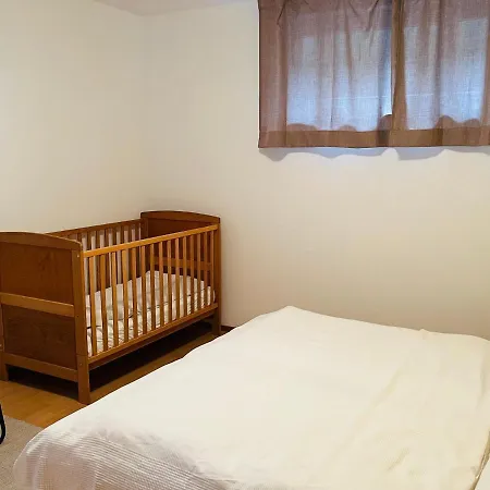 Bergnest Grosswalsertal *