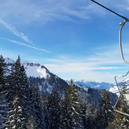 Bergnest Grosswalsertal