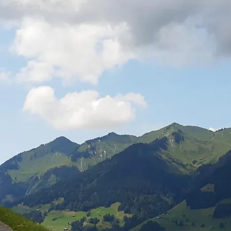Bergnest Grosswalsertal Raggal
